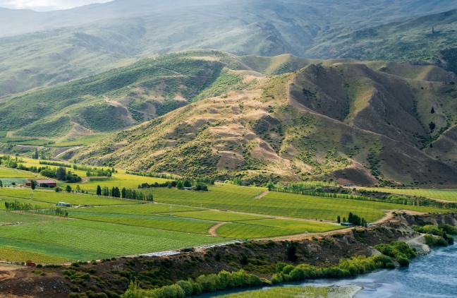 Wine region Wairau Valley, in Marlborough, in the most northern tip of South Island in New Zealand. These are Cloudy Bay’s headquarters, 75 production of Sauvignon Blanc, 10 Pinot Noir. The winery was founded thanks to an intuition of David Hohnen. First vintage: 1985
